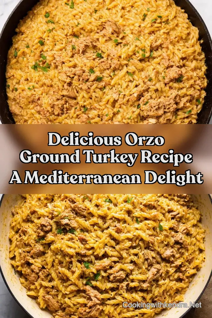 Delicious Orzo Ground Turkey Recipe A Mediterranean Delight